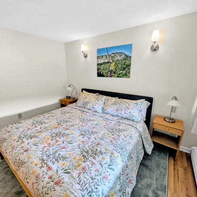 Cozy Stowe condo - close to skiing!